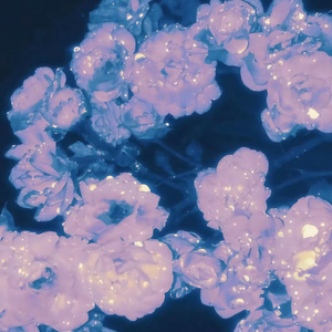 KTV公主边唱边做视频
